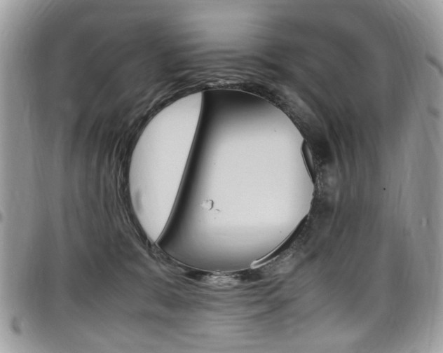 X0000097980327200803241047