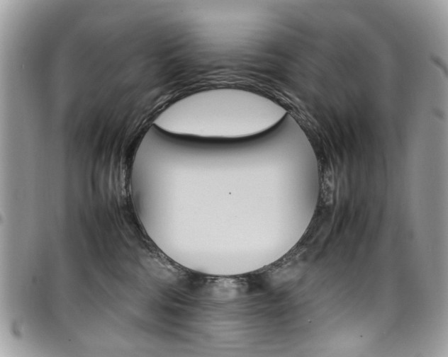 X0000097980330200803241047