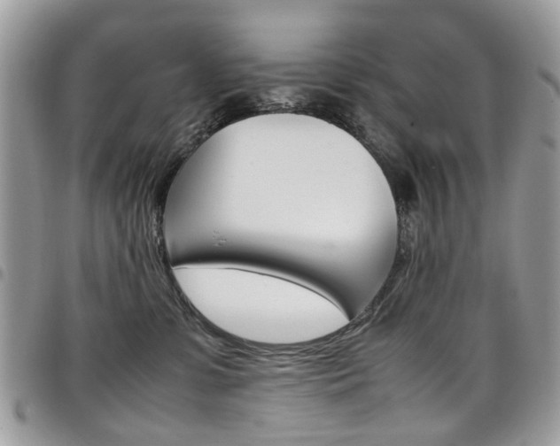 X0000097980331200803241047