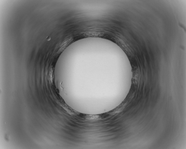 X0000097980334200803241047