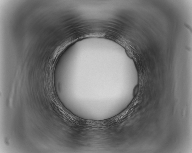 X0000097980337200803241047