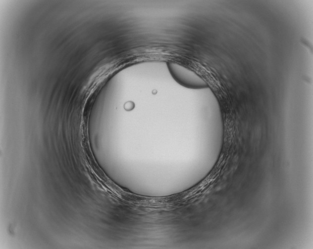 X0000097980338200803241047