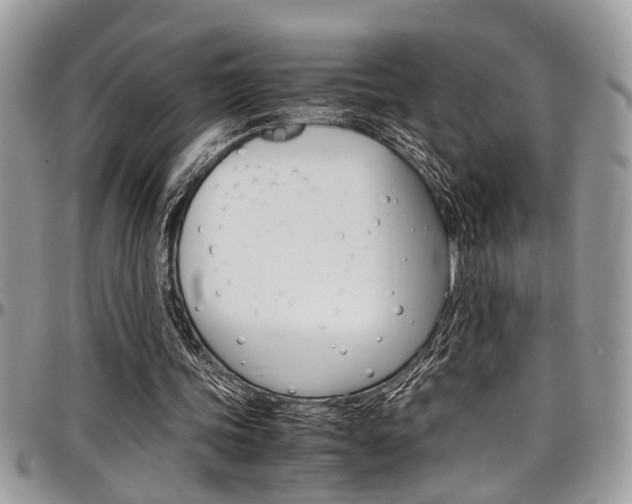 X0000097980339200803241047