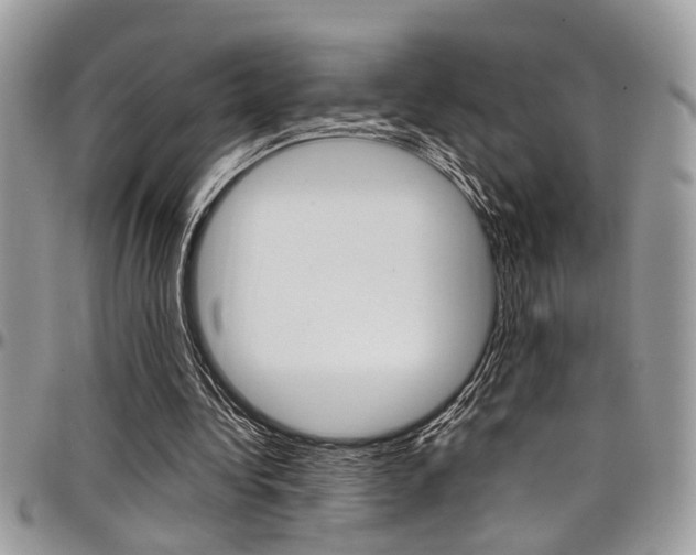 X0000097980340200803241047