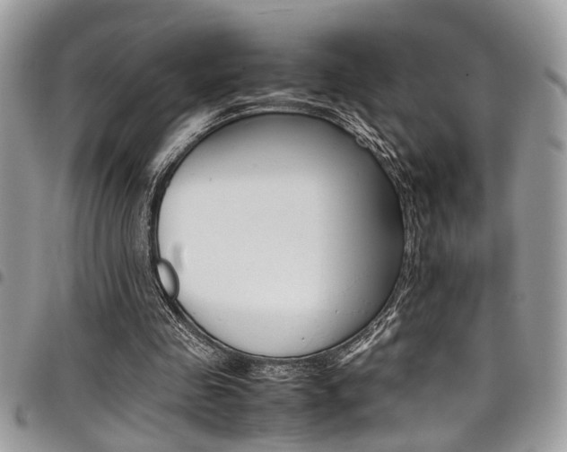 X0000097980341200803241047