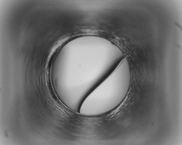 X0000097980342200803241047