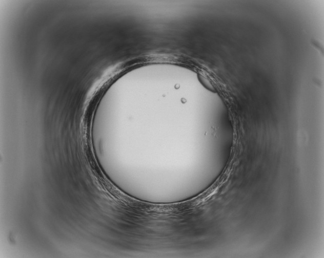 X0000097980343200803241047
