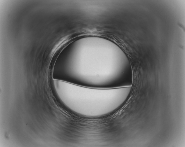 X0000097980344200803241047