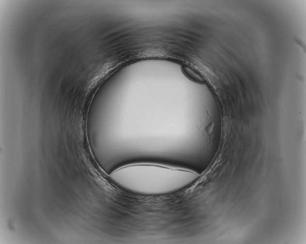 X0000097980345200803241047