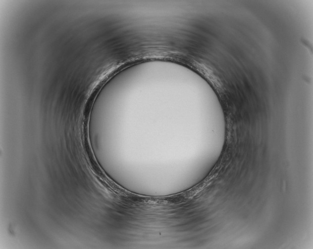 X0000097980346200803241047