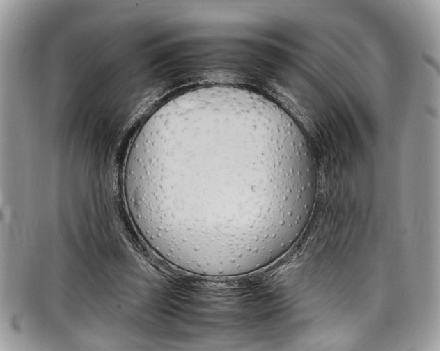X0000097980347200803241047
