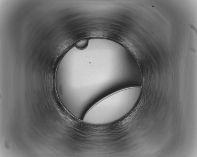 X0000097980349200803241047