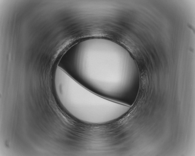 X0000097980350200803241047