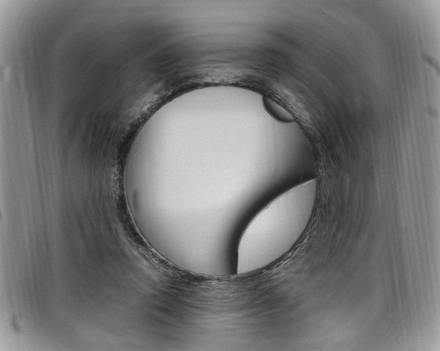 X0000097980354200803241047