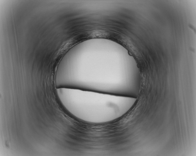X0000097980357200803241047