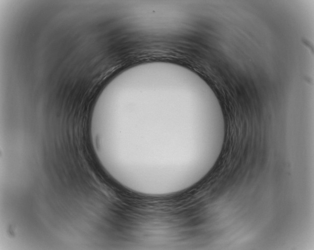 X0000097980360200803241047