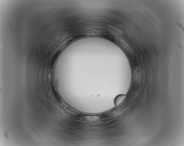 X0000097980363200803241047