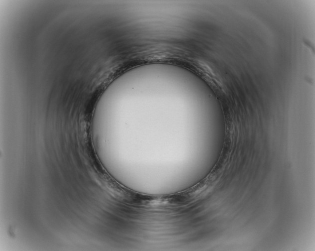 X0000097980366200803241047