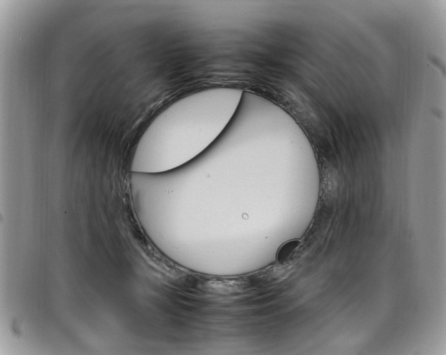 X0000097980367200803241047