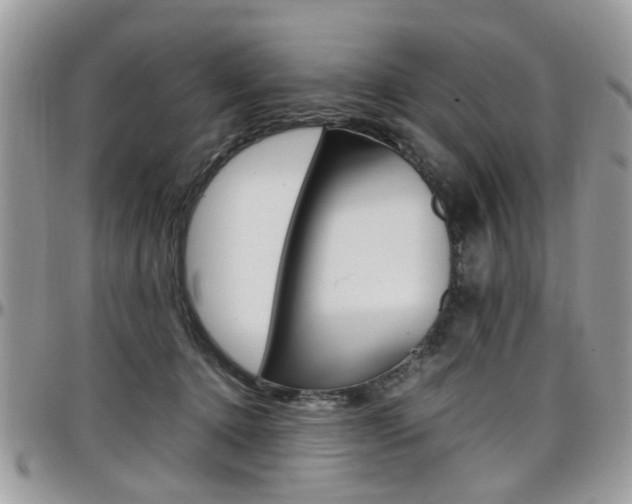 X0000097980368200803241047