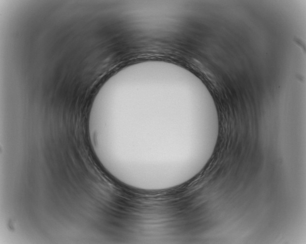 X0000097980370200803241047
