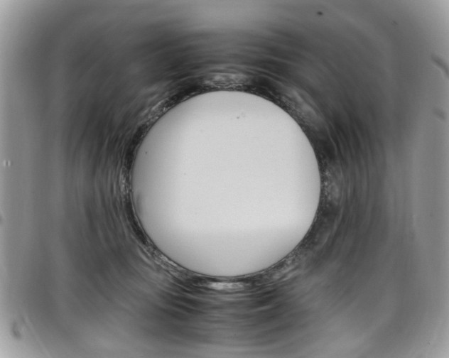 X0000097980371200803241047