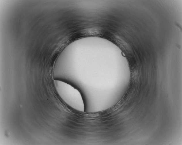 X0000097980373200803241047