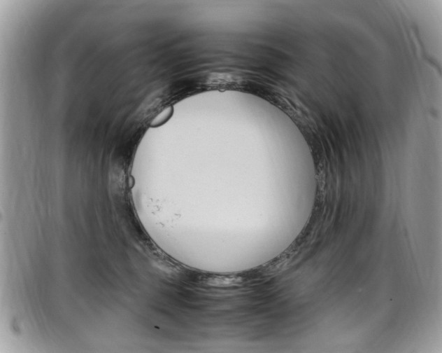 X0000097980375200803241047