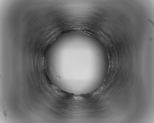 X0000097980376200803241047