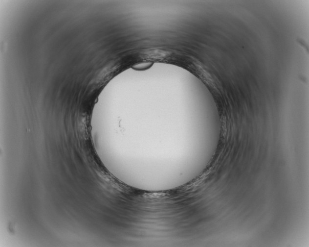 X0000097980378200803241047