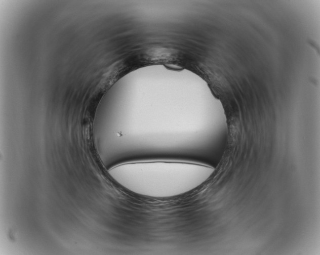 X0000097980379200803241047