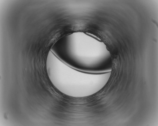 X0000097980380200803241047