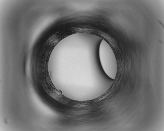 X0000097980381200803241047