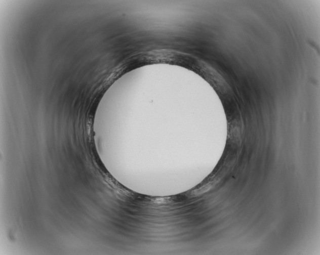 X0000097980382200803241047