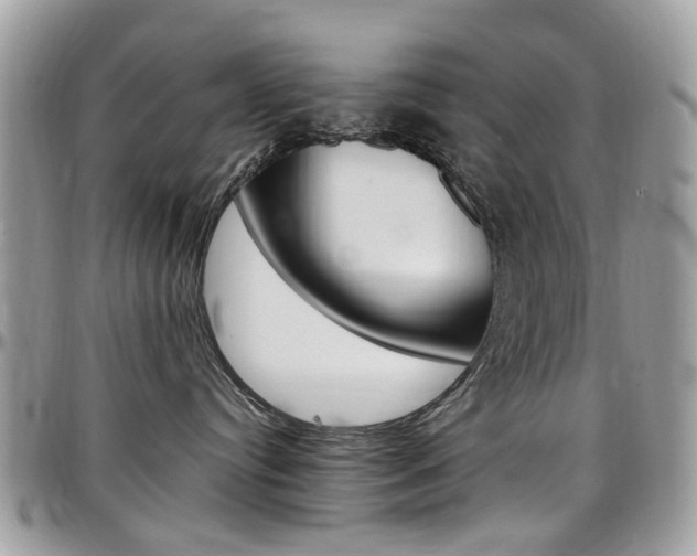 X0000097980384200803241047
