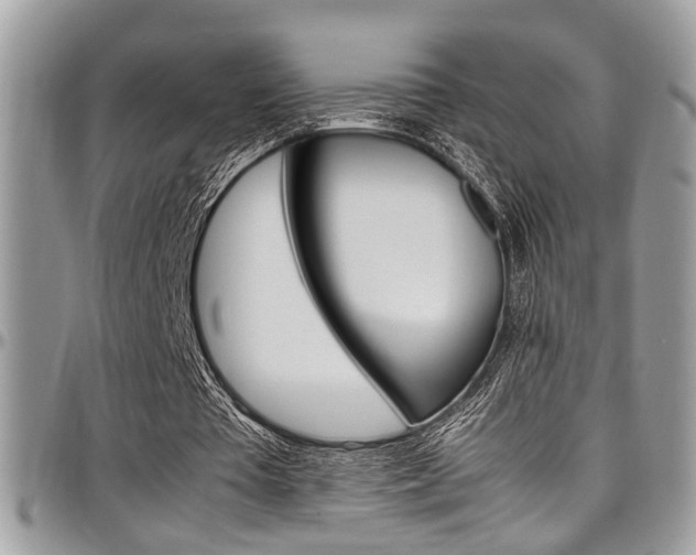 X0000097980385200803241047