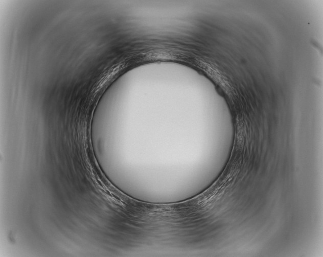 X0000097980386200803241047