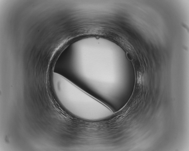 X0000097980388200803241047