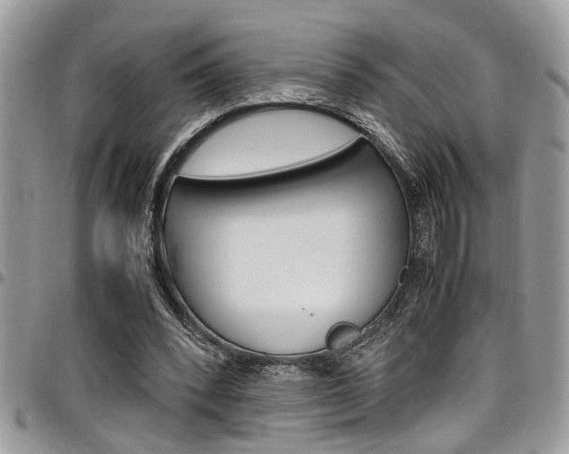 X0000097980392200803241046