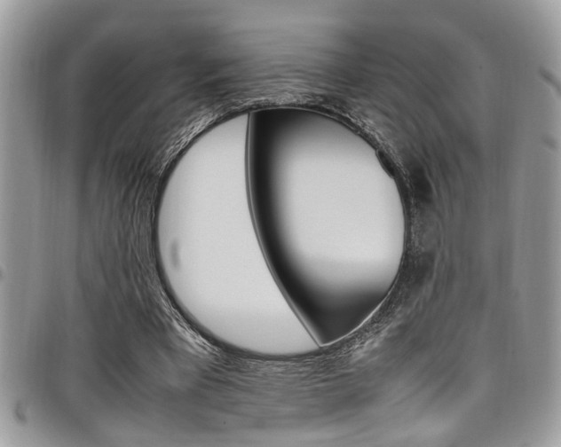 X0000097980393200803241046