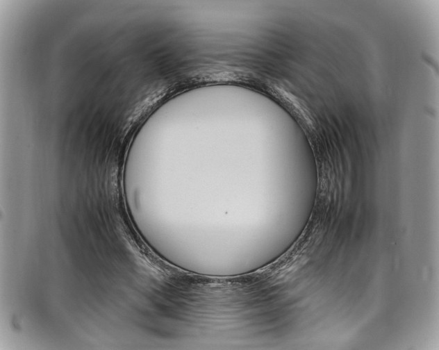 X0000097980394200803241046