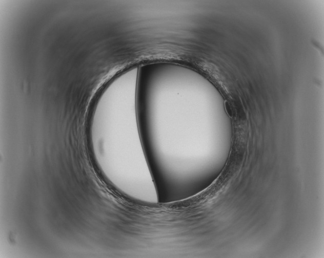 X0000097980395200803241046