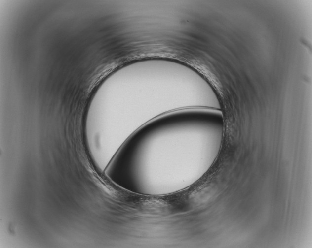 X0000097980397200803241046