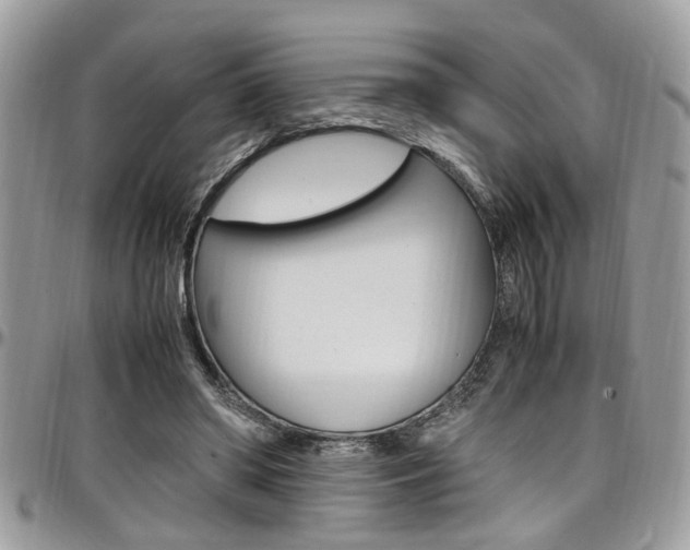 X0000097980398200803241046