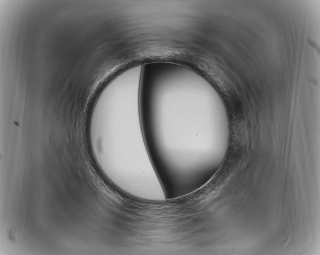 X0000097980399200803241046