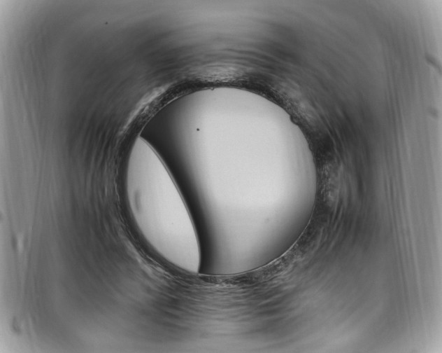 X0000097980400200803241046