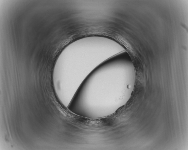 X0000097980401200803241046