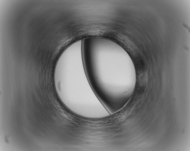 X0000097980407200803241046