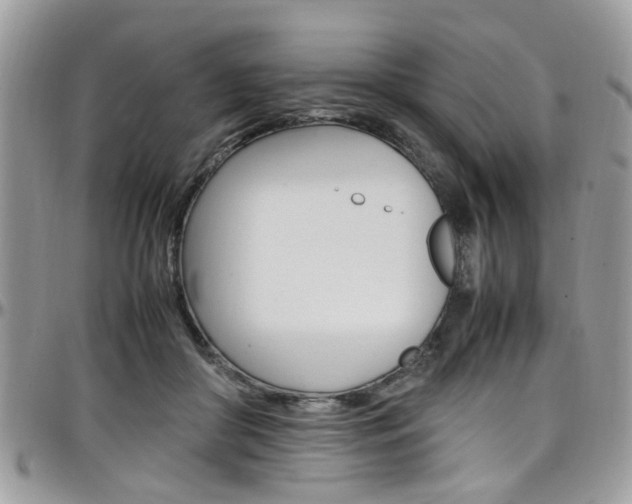X0000097980410200803241046
