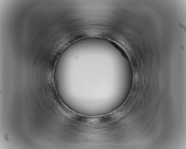 X0000097980411200803241046